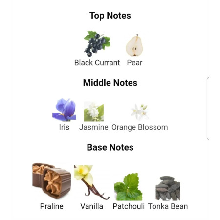LA VIE EST BELLE 100 ML Bavari LA VIE EST BELLE 100 ML Bavari