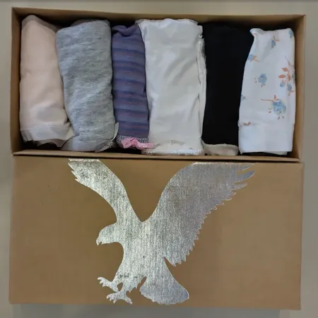 American Eagle Outfitter Womens Panties imported