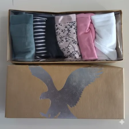 Americal Eagle Outfitter Womens Panties imported