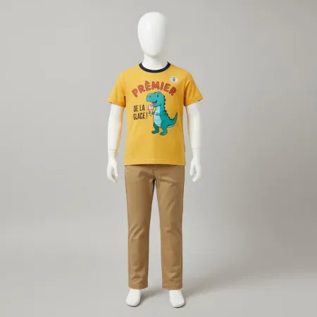 Dinosaur Short Sleeve Graphic 100% Cotton T-Shirts