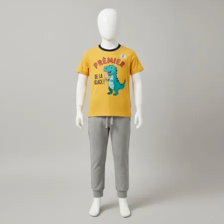 Dinosaur Short Sleeve Graphic 100% Cotton T-Shirts