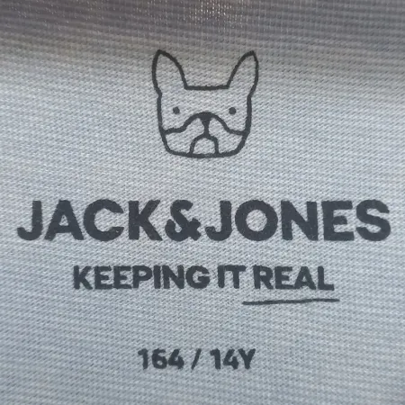Jack & Jones Boys' Vertical Logo T-shirt - Grey/Blue Panel Cotton Crew Neck (14 Years)