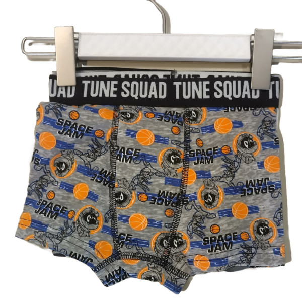 Space Jam Tune Squad Bunch Boxer Briefs Multicolor Underwear